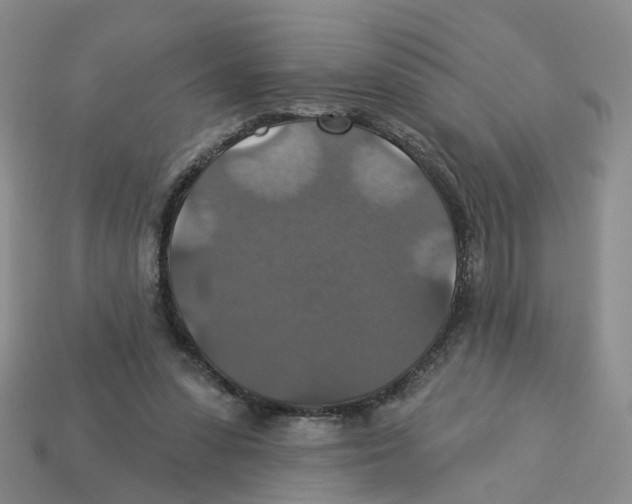 X0000113180303200910021548
