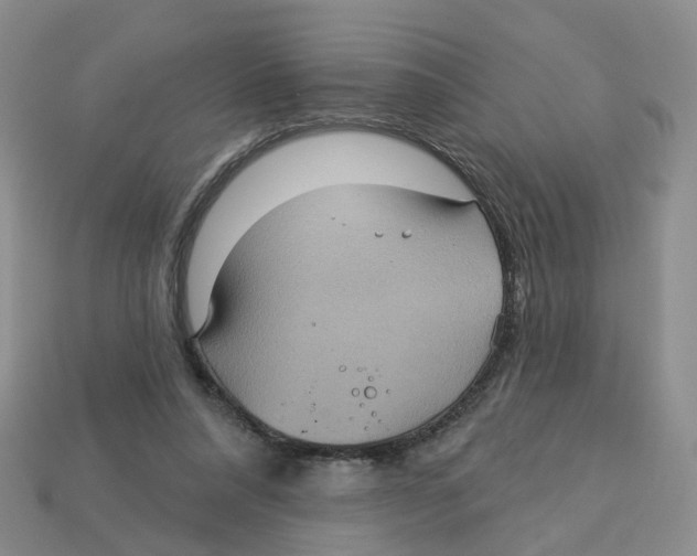X0000113180304200910021548