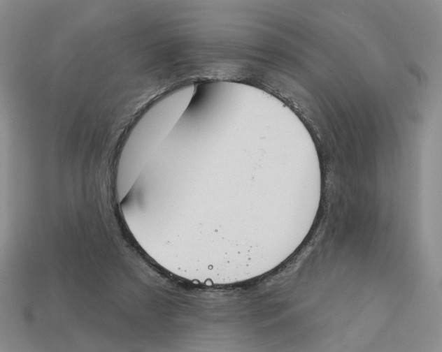 X0000113180305200910021548