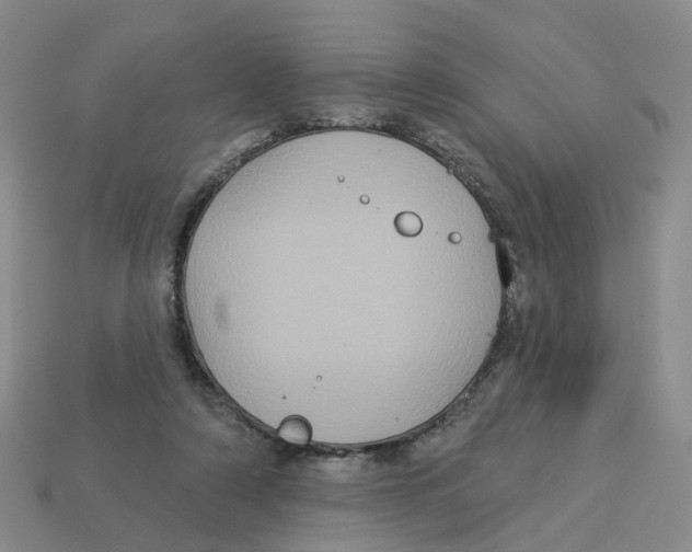X0000113180306200910021548