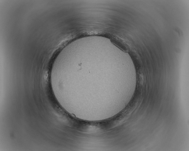 X0000113180308200910021548