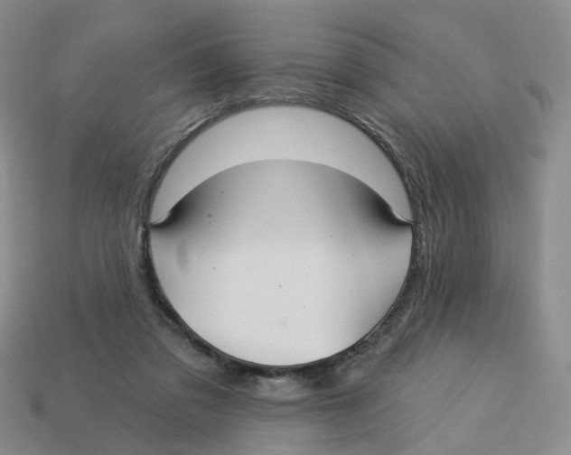 X0000113180309200910021548