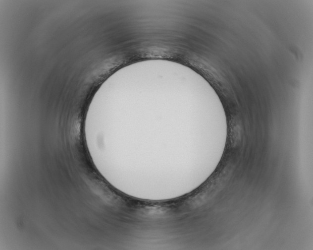 X0000113180310200910021548