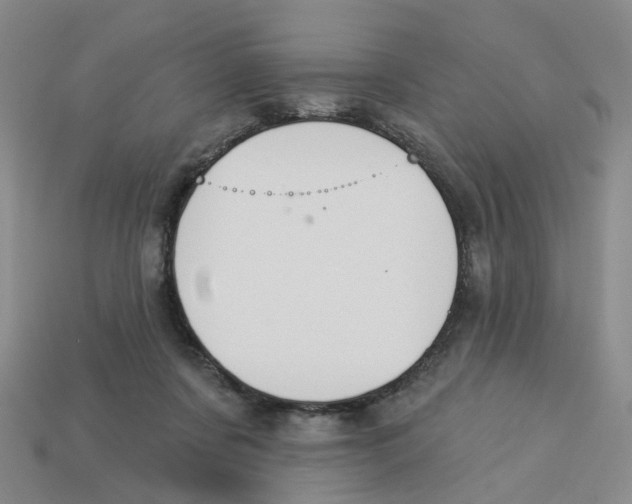 X0000113180311200910021548