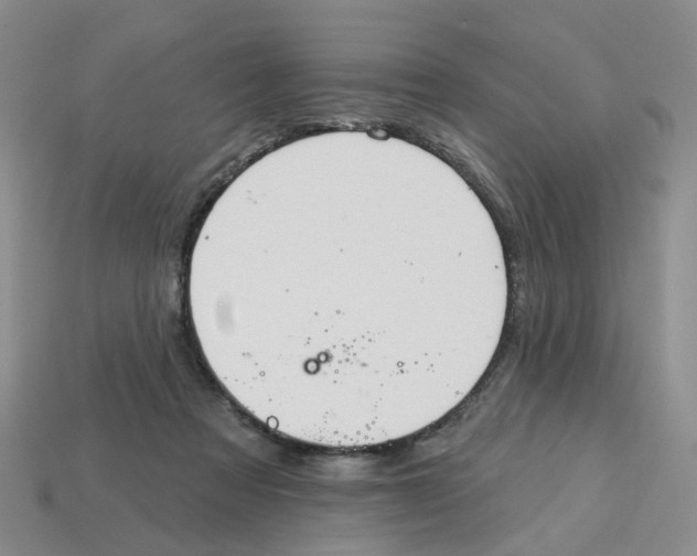 X0000113180313200910021548