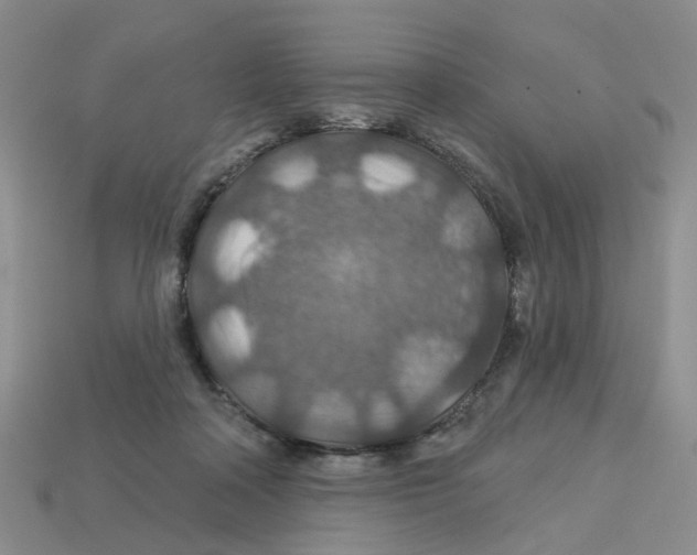 X0000113180314200910021548