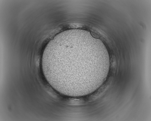 X0000113180315200910021548
