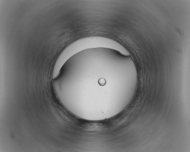 X0000113180316200910021548