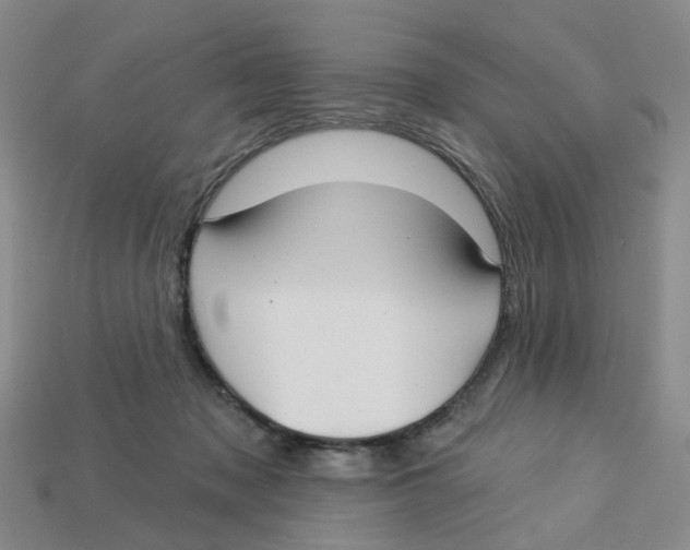 X0000113180317200910021548