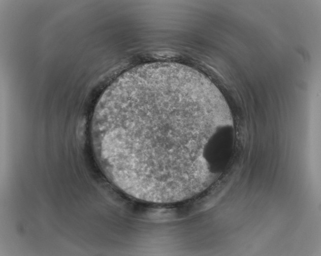 X0000113180319200910021548