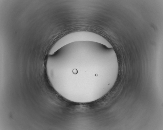 X0000113180320200910021548