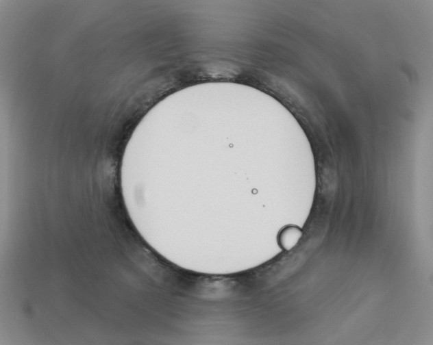X0000113180321200910021548