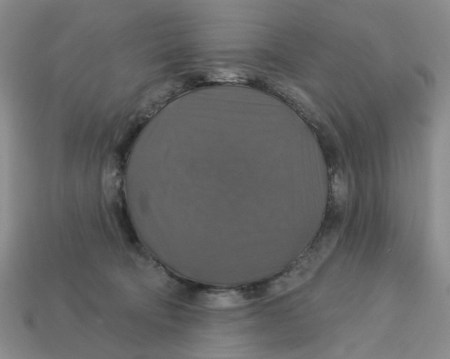 X0000113180322200910021548