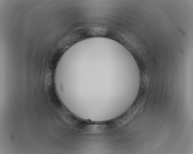 X0000113180323200910021548