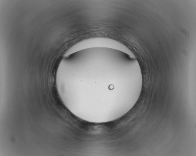 X0000113180324200910021548