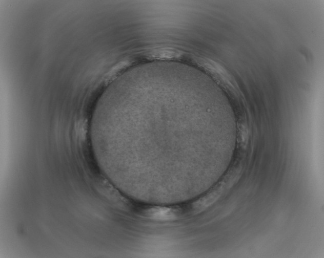 X0000113180326200910021548