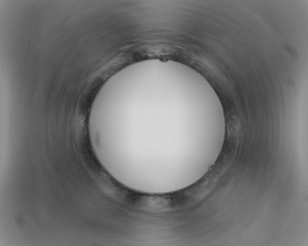 X0000113180327200910021548
