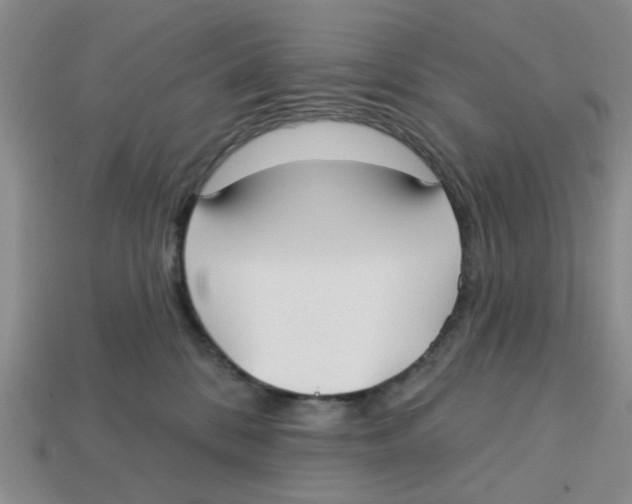 X0000113180328200910021548