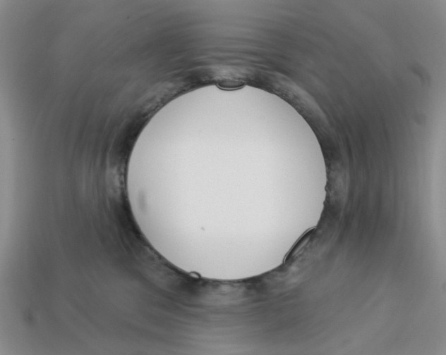 X0000113180329200910021548