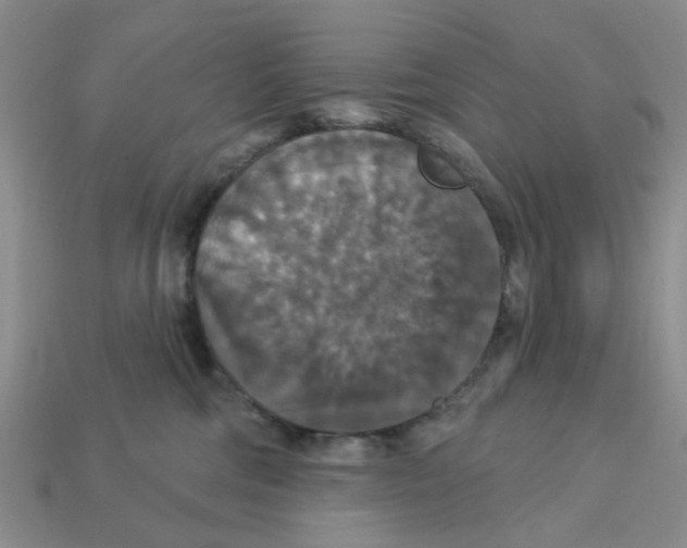 X0000113180330200910021548