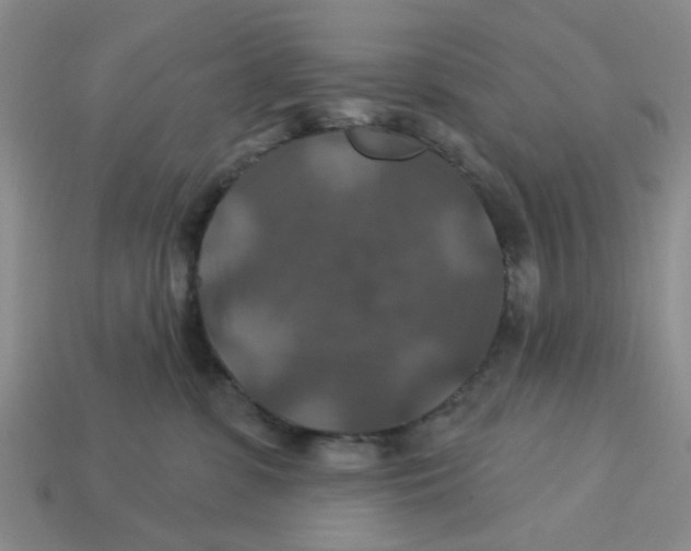 X0000113180331200910021548