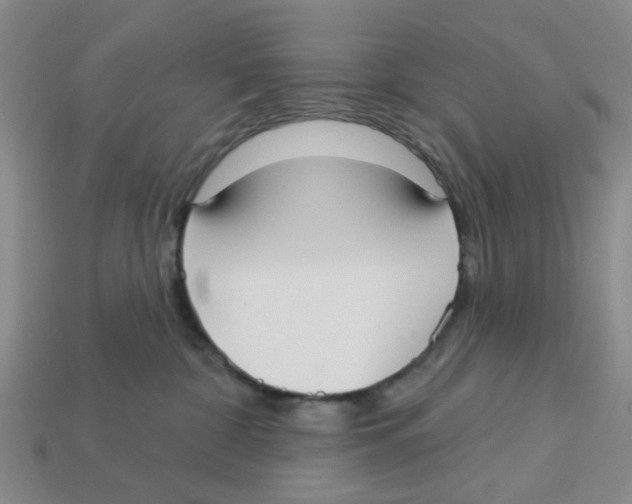 X0000113180332200910021548