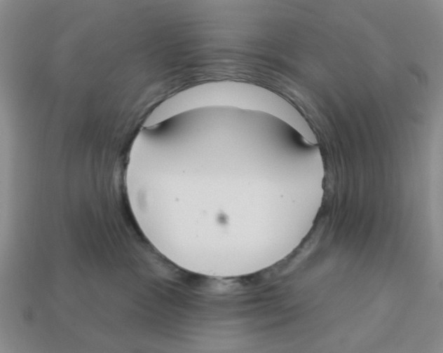 X0000113180333200910021548