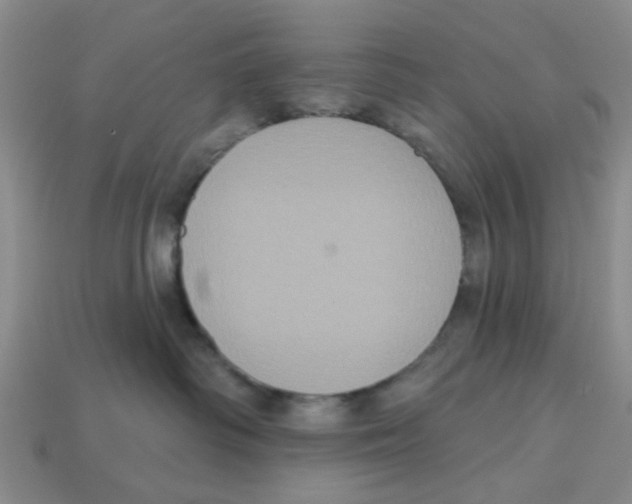 X0000113180334200910021548