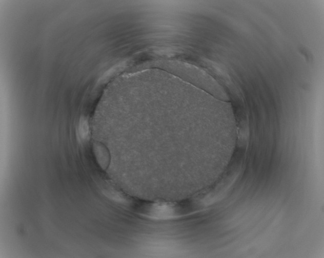 X0000113180335200910021548