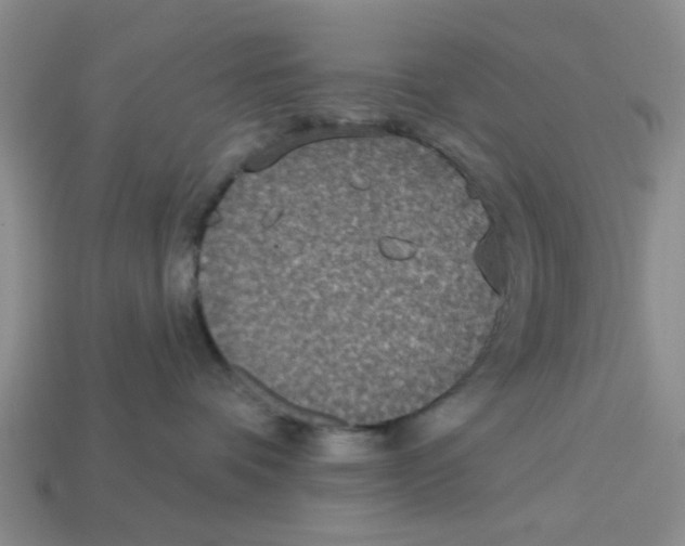 X0000113180336200910021548