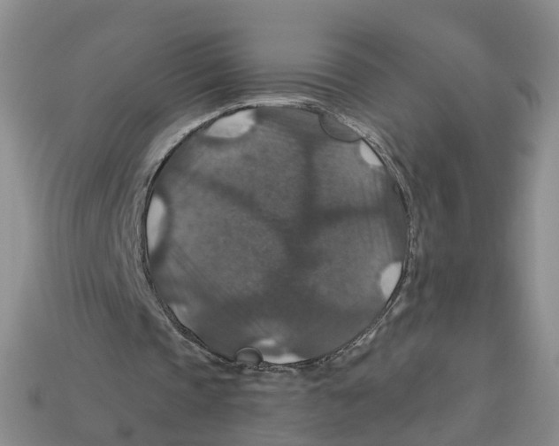 X0000113180337200910021547
