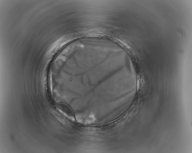 X0000113180339200910021547