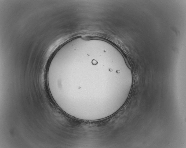 X0000113180340200910021547