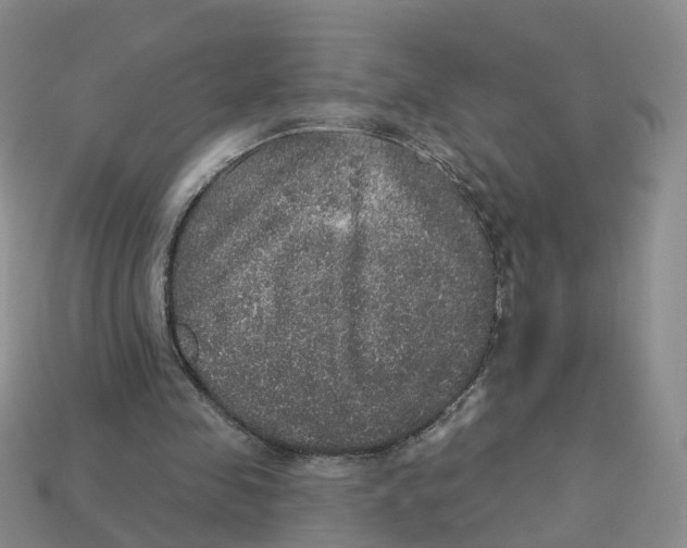 X0000113180341200910021547