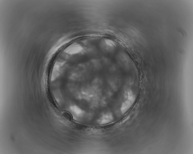 X0000113180343200910021547