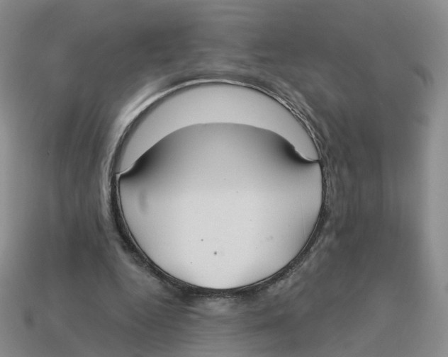 X0000113180344200910021547