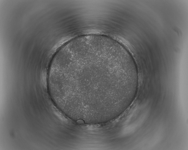 X0000113180345200910021547