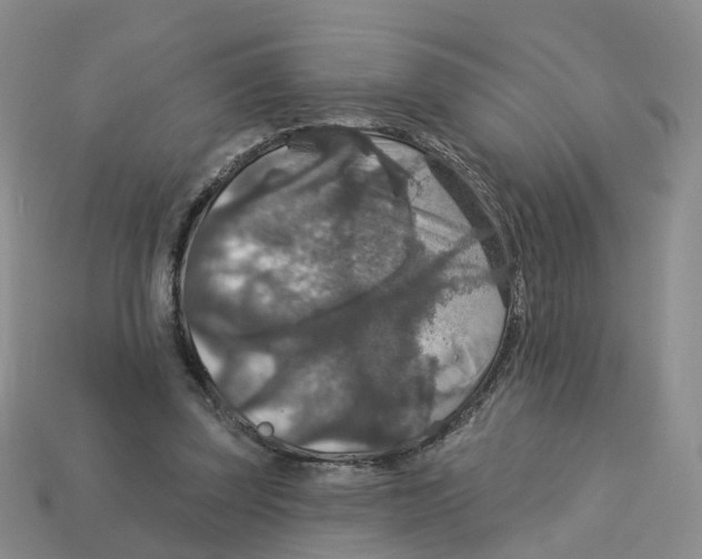 X0000113180347200910021547