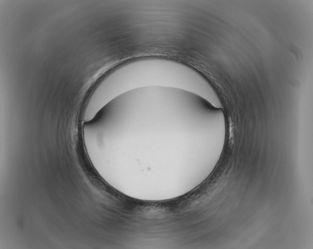 X0000113180348200910021547