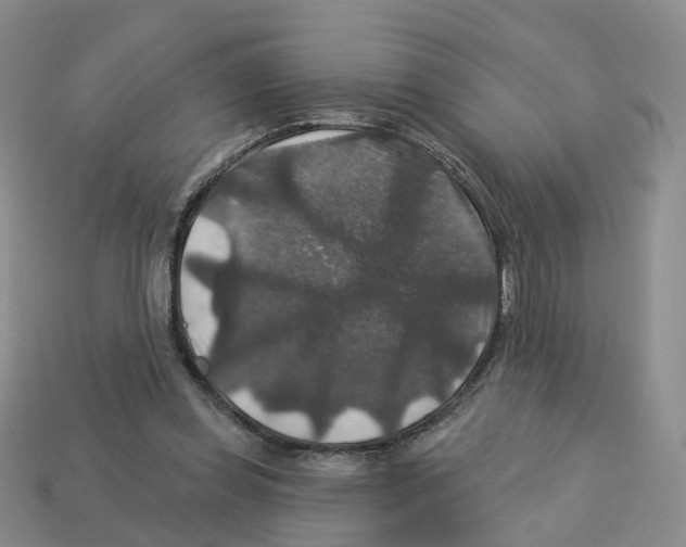 X0000113180349200910021547