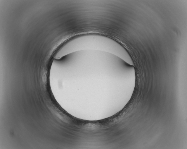 X0000113180350200910021547