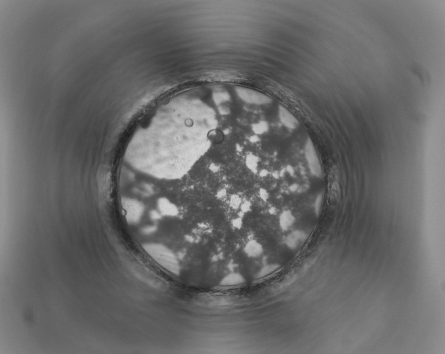 X0000113180351200910021547