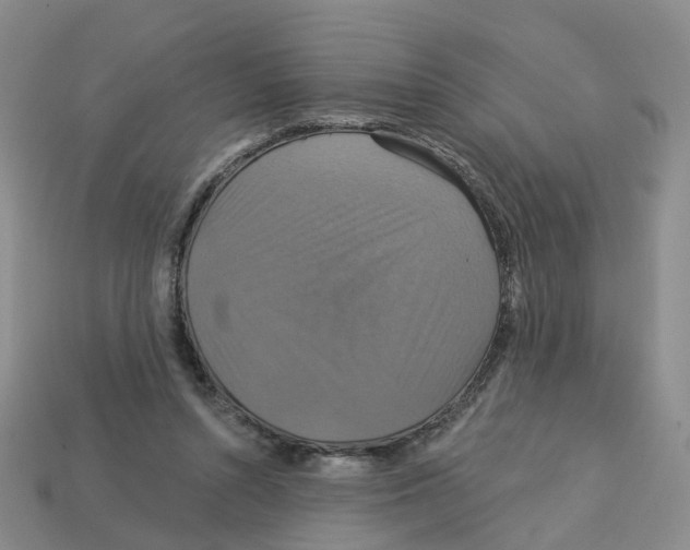 X0000113180352200910021547