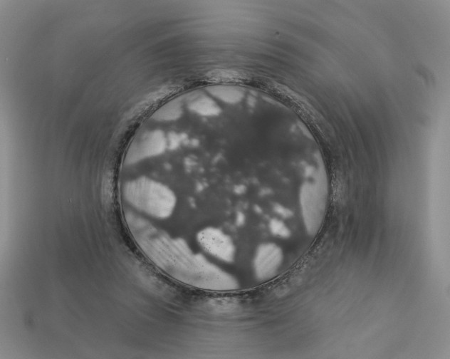 X0000113180353200910021547