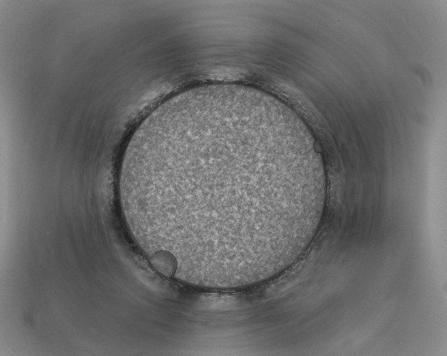 X0000113180354200910021547