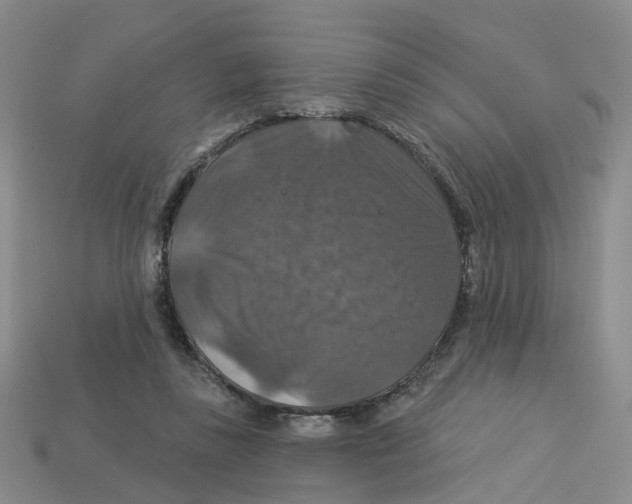 X0000113180355200910021547
