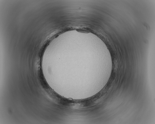 X0000113180356200910021547