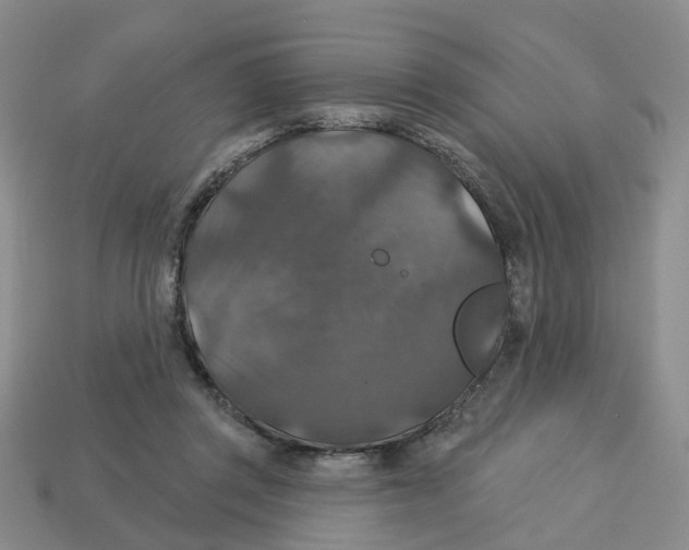 X0000113180357200910021547