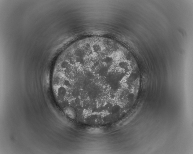 X0000113180358200910021548