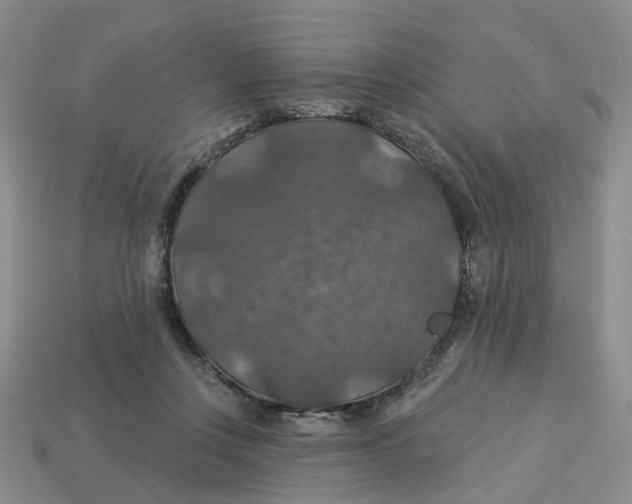 X0000113180359200910021548